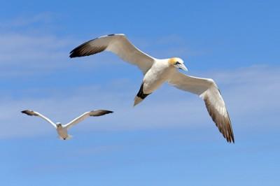 tutoriel_comment_faire_une_photo_nette_01