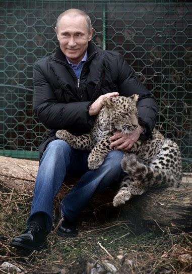 À propos de Sotchi , Poutine et ses potes