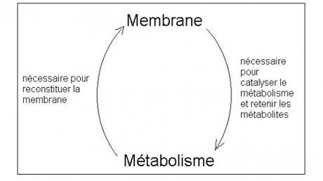 Capture.PNG relation.PNG