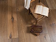 old story  hazelnut 250518 zoom 2