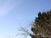 Blue warm colour (Baby thing)