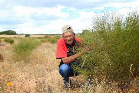 Carnet de voyage d'Alter Eco en Afrique du Sud sur la route du rooibos