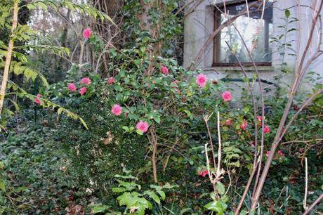 mme martin cachet veneux 5 mars 2014 023 (1).jpg