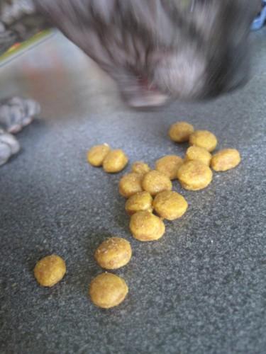 Copie de Copie de IMG_7930.JPG