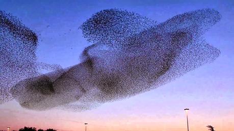 LA CULTURE EST UN CIMENT QUI ÉMERGE LENTEMENT