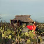 ÉVASION : Paradis privé au Mexique