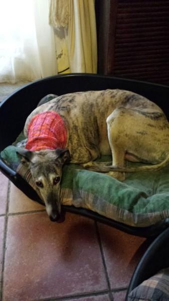 20140306 102035-copie-1