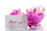 Orchid flowers with gratitude Stock Images