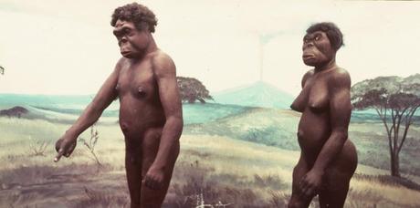 Reconstitution de Lucy, la femme préhistorique remontant à 3,5 millions d'années, et de son supposé compagnon. Lucy a été découverte en 1974 dans la vallée du Rift en Ethiopie par l'Américain Donald Johanson et le Français Yves Coppens. (AFP)