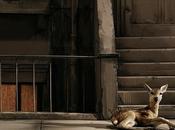 Ville Carton Rudak Wiel