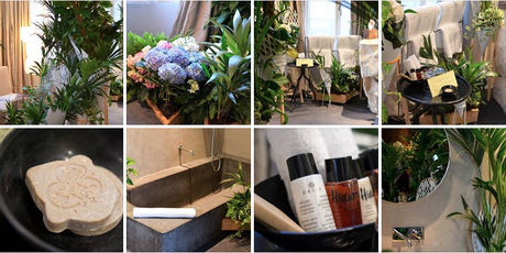 Un hôtel chic et nature au coeur de Paris