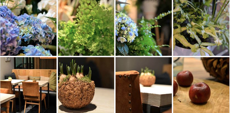 Un hôtel chic et nature au coeur de Paris