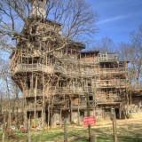 Minister Tree House 02