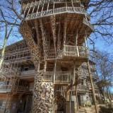 Minister Tree House 03
