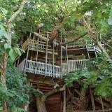 Minister Tree House 08