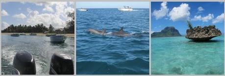 Ile Maurice : Ile aux Bénitiers