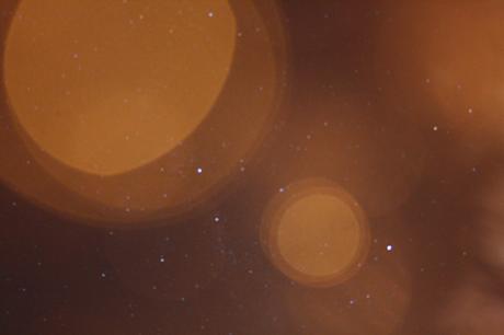 Football – France 2 : 0 Pays-Bas