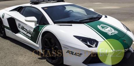 police_Lamborghini_buzz