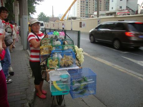 Difficile d'être une femme ?