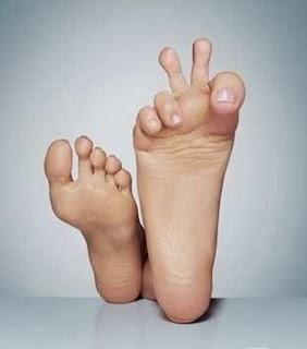 La journée de Mon Oeil !!