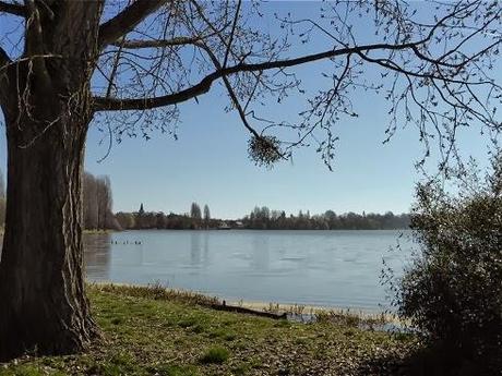 Mareuil sur Arnon (18)