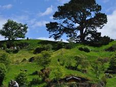 Sydney Auckland Nouvelle-Zélande (2/2)