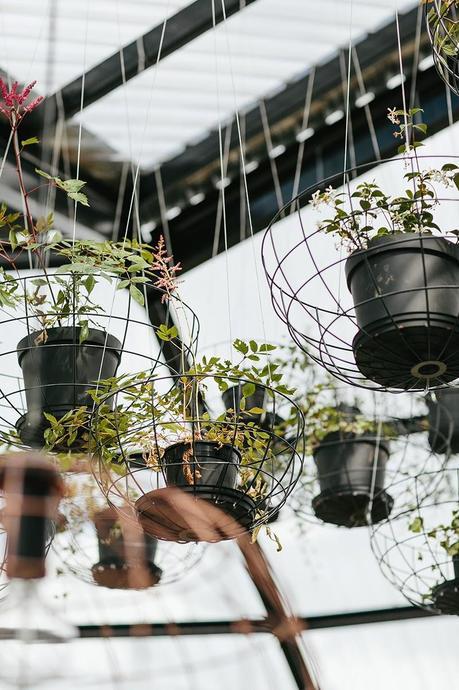 Suspension métallique pour plantes Blueberry café via Nat et nature Semaine 10 sur les blogs déco