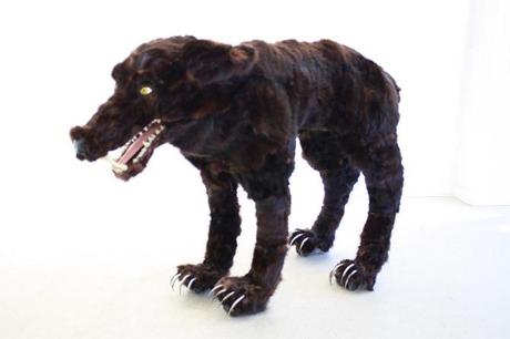 Tiina-Liisa Kaalamo – Karsus