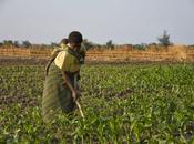 10/03 Femmes Ghana amies sont finances!