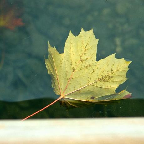 もののあはれ - Mono no Aware Project #7