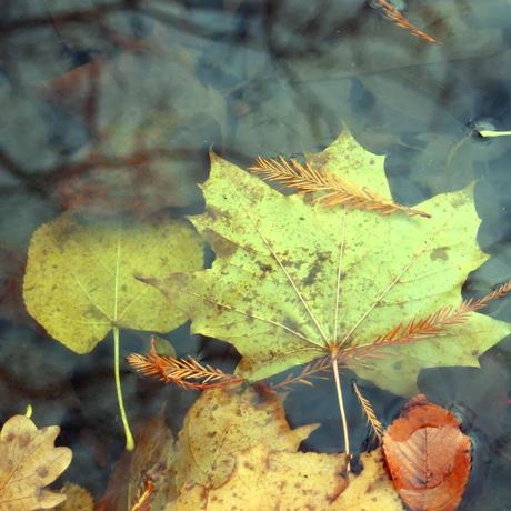 もののあはれ - Mono no Aware Project #7