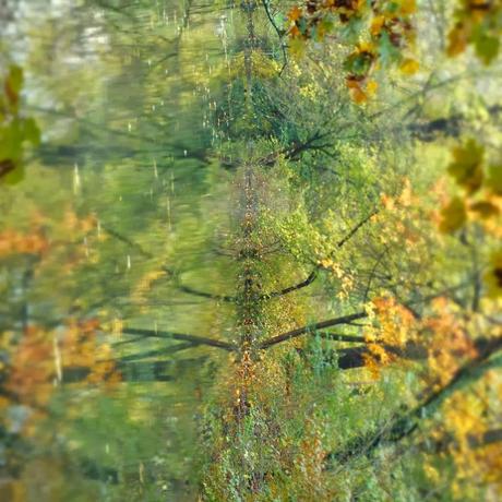 もののあはれ - Mono no Aware Project #7