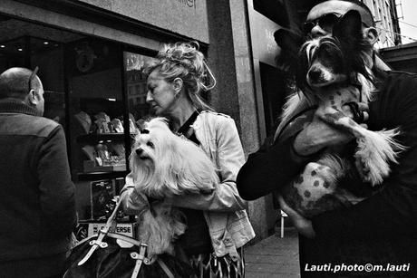 Promenade, boulevard Anspach-Bruxelles