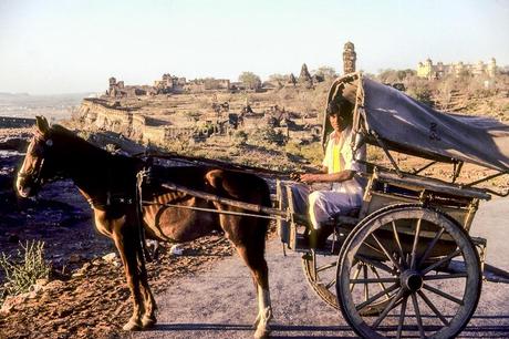 J151 - le fort de Chittorgarh