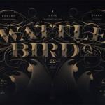 Graphismes sophistiqués par Walter Hansen