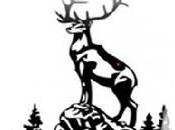 Avis lecteurs propos GAINSBOURG VERNEUIL