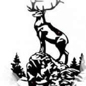 Avis de lecteurs avisés - Morvenn Editions