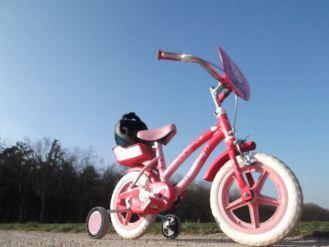 velo avec roues apprentissage hello kitty