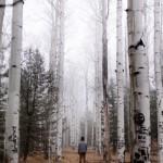 PHOTO : Evan James Atwood