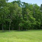 ART : ‘Mirror Fences’ by Alyson Shotz