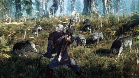 witcher 06 1024x576 The Witcher 3 Wild Hunt reporté en 2015  The Witcher 3 Wild Hunt CD Projekt 
