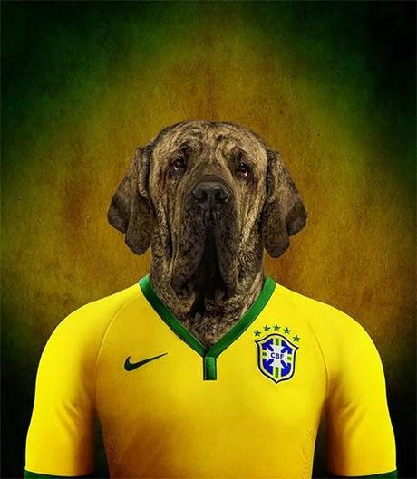 Coupe du Monde canine