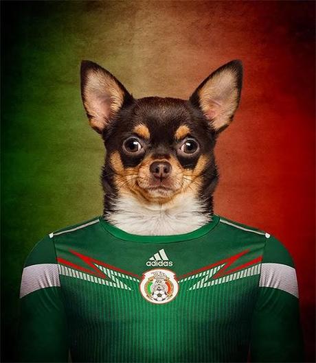 Coupe du Monde canine
