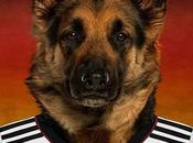 Coupe Monde canine