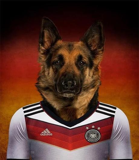 Coupe du Monde canine