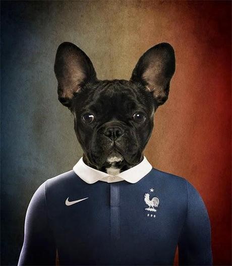 Coupe du Monde canine