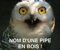 nom d'une pipe en bois