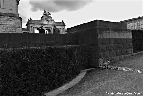 Parc du Cinquantenaire