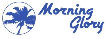 Morning Glory