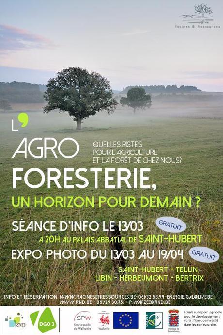 Agroforesterie-horizon Agroforesterie-horizon